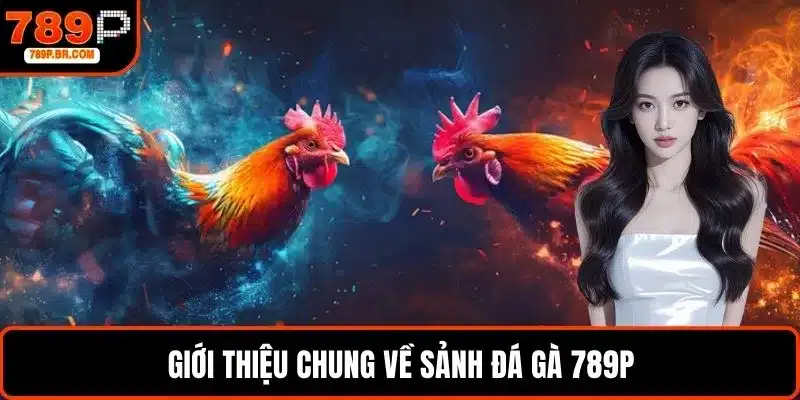 Giới thiệu chung về sảnh đá gà 789P