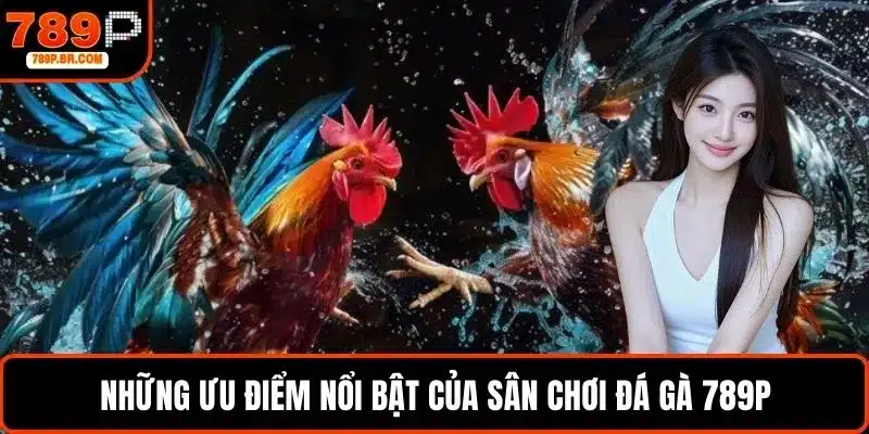 Những ưu điểm nổi bật của sân chơi đá gà 789P